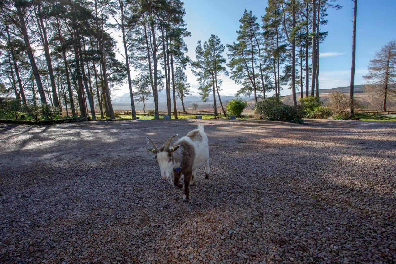 Old Pines Hotel And Restaurant Spean Bridge Exterior foto